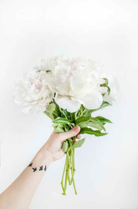person holding white peony bouquet closeup photography